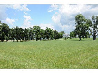 Property photo 75 - Ohio Real Estate Auction20.6 +/- Acres and Prestigious, Stately Colonial Home with Buildings