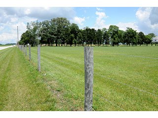 Property photo 68 - Ohio Real Estate Auction20.6 +/- Acres and Prestigious, Stately Colonial Home with Buildings