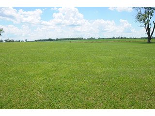 Property photo 80 - Ohio Real Estate Auction20.6 +/- Acres and Prestigious, Stately Colonial Home with Buildings