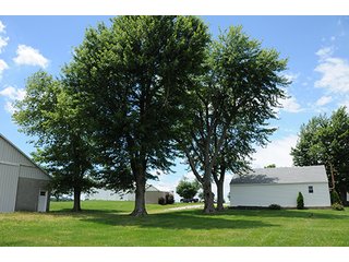 Property photo 7 - Ohio Real Estate Auction20.6 +/- Acres and Prestigious, Stately Colonial Home with Buildings