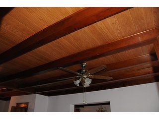 Property photo 48 - Ohio Real Estate Auction20.6 +/- Acres and Prestigious, Stately Colonial Home with Buildings