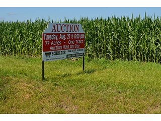 Property photo 29 - 77.4 Productive, Tillable Acres Land Auction