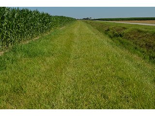 Property photo 19 - 77.4 Productive, Tillable Acres Land Auction