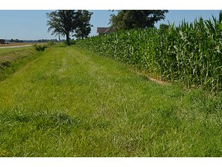 Property photo 8 - 77.4 Productive, Tillable Acres Land Auction