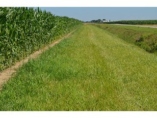 Property photo 21 - 77.4 Productive, Tillable Acres Land Auction