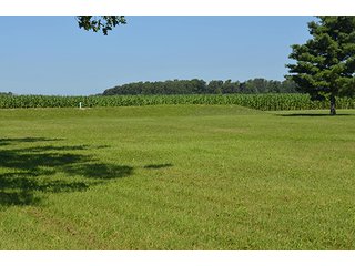 Property photo 5 - 77.4 Productive, Tillable Acres Land Auction