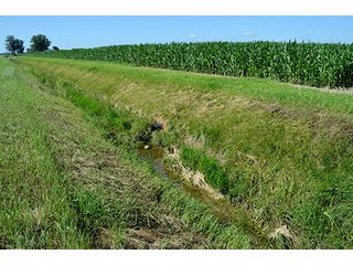 Property photo 18 - 77.4 Productive, Tillable Acres Land Auction