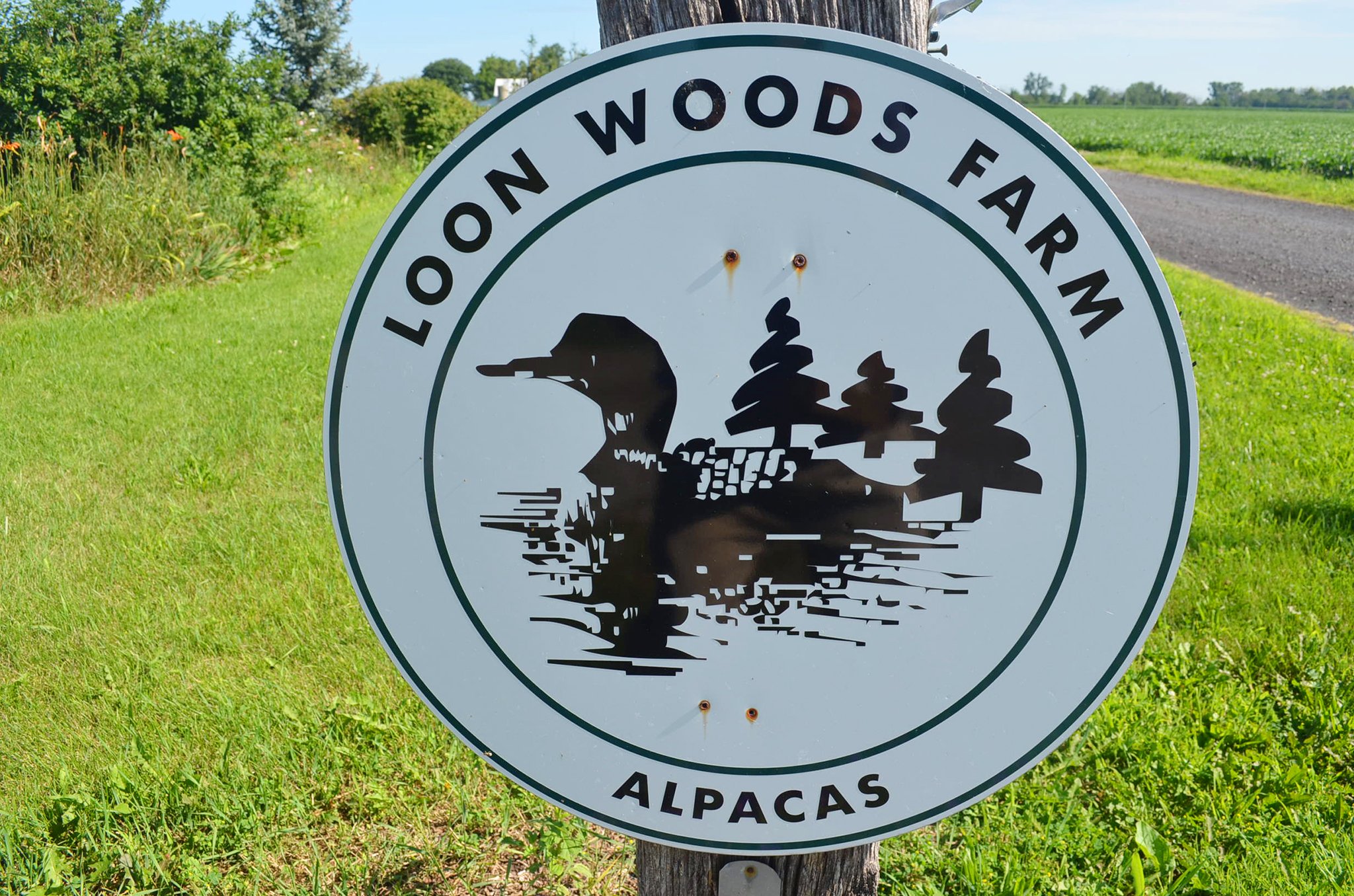 Property photo 57 - Personal Property Auction: LIVE ALPACAS, ANTIQUES, FURNITURE, GLASSWARE, TRACTOR & IMPLEMENTS, SHOP & HAND TOOLS, WOODWORKING TOOLS, LIVESTOCK EQUIPMENT