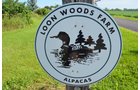 Property photo 57 - Personal Property Auction: LIVE ALPACAS, ANTIQUES, FURNITURE, GLASSWARE, TRACTOR & IMPLEMENTS, SHOP & HAND TOOLS, WOODWORKING TOOLS, LIVESTOCK EQUIPMENT