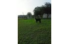 Property photo 59 - Personal Property Auction: LIVE ALPACAS, ANTIQUES, FURNITURE, GLASSWARE, TRACTOR & IMPLEMENTS, SHOP & HAND TOOLS, WOODWORKING TOOLS, LIVESTOCK EQUIPMENT
