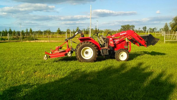 Personal Property Auction: LIVE ALPACAS, ANTIQUES, FURNITURE, GLASSWARE, TRACTOR & IMPLEMENTS, SHOP & HAND TOOLS, WOODWORKING TOOLS, LIVESTOCK EQUIPMENT