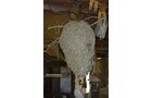 Property photo 27 - Large Estate Auction, Furniture, Appliances, Glassware, Antiques, Collectibles, Woodworking Equipment, Shop & Hand Tools