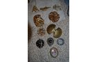 Property photo 54 - Large Estate Auction, Furniture, Appliances, Glassware, Antiques, Collectibles, Woodworking Equipment, Shop & Hand Tools