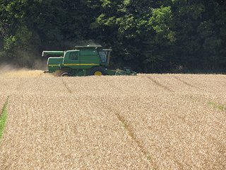 Tract 2 - 185.7+/- Acres offered in 5 Tracts of Prime Indiana Farmland, Land Auction