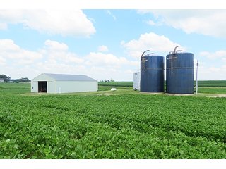 Tract 1 - 185.7+/- Acres offered in 5 Tracts of Prime Indiana Farmland, Land Auction