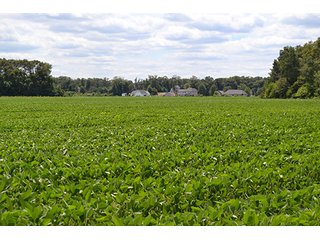 Property photo 1 - 154 +/- Acres offered in 5 Tracts Land Auction