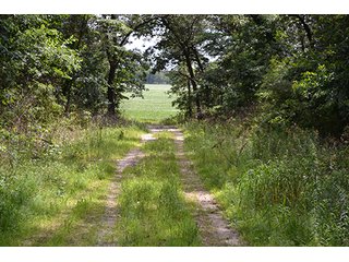 Property photo 9 - 154 +/- Acres offered in 5 Tracts Land Auction