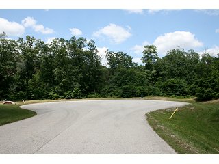 Property photo 5 - 154 +/- Acres offered in 5 Tracts Land Auction