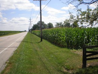 Property photo 1 - 77 +/- Acres Offered in 4 Tracts Real Estate Auction