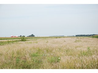 Property photo 2 - 162 +/- Acres Offered in 2 Tracts Land Auction