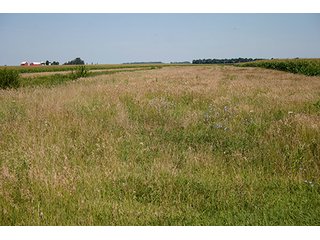 Property photo 6 - 162 +/- Acres Offered in 2 Tracts Land Auction