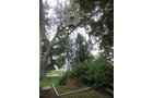 Property photo 288 - MAJOR ESTATE AUCTION, 2 Dates: Personal Property on Saturday, Sept. 21 @ 9AM & Real Estate on Thursday, Sept. 26 @ 6PM, One of this area's largest estate auctions in years!