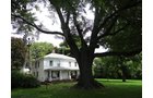Property photo 18 - MAJOR ESTATE AUCTION, 2 Dates: Personal Property on Saturday, Sept. 21 @ 9AM & Real Estate on Thursday, Sept. 26 @ 6PM, One of this area's largest estate auctions in years!