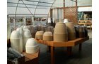 Property photo 15 - Complete Greenhouse Inventory Liquidation, 2 Dates, October 23 & 26 Plus 14 Acres
