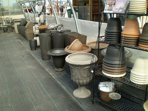 Property photo 36 - Complete Greenhouse Inventory Liquidation, 2 Dates, October 23 & 26 Plus 14 Acres