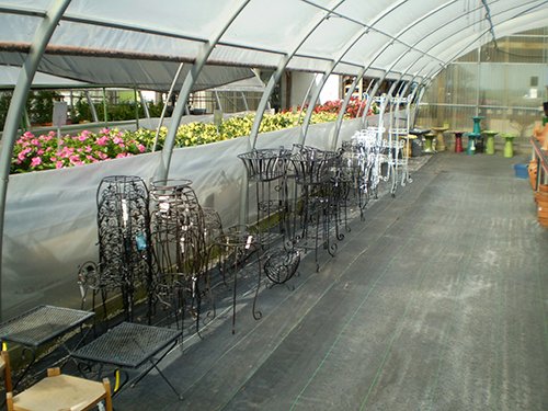 Property photo 42 - Complete Greenhouse Inventory Liquidation, 2 Dates, October 23 & 26 Plus 14 Acres