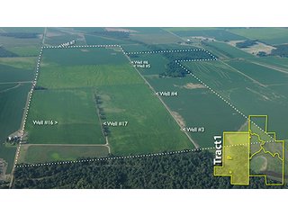 Property photo 1 - ARKANSAS LAND AUCTION, 1,741 ACRES OFFERED IN 4 TRACTS