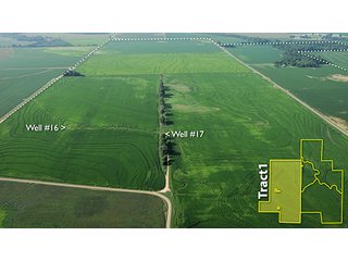Property photo 9 - ARKANSAS LAND AUCTION, 1,741 ACRES OFFERED IN 4 TRACTS