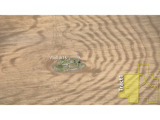 Property photo 12 - ARKANSAS LAND AUCTION, 1,741 ACRES OFFERED IN 4 TRACTS