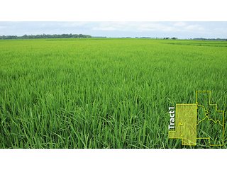 Property photo 13 - ARKANSAS LAND AUCTION, 1,741 ACRES OFFERED IN 4 TRACTS