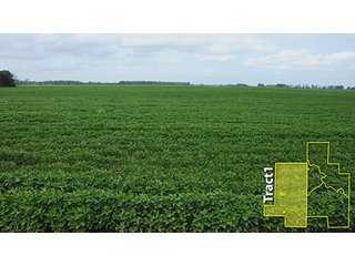 Property photo 17 - ARKANSAS LAND AUCTION, 1,741 ACRES OFFERED IN 4 TRACTS