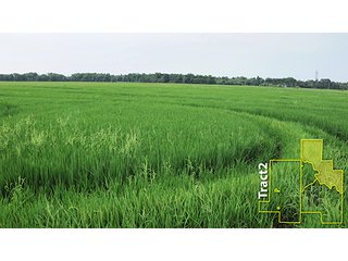 Property photo 25 - ARKANSAS LAND AUCTION, 1,741 ACRES OFFERED IN 4 TRACTS