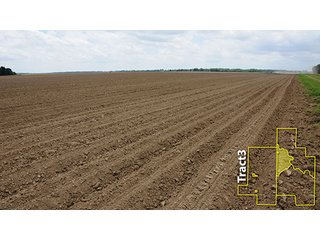 Property photo 28 - ARKANSAS LAND AUCTION, 1,741 ACRES OFFERED IN 4 TRACTS