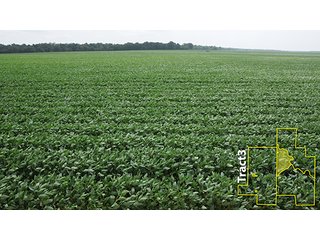 Property photo 29 - ARKANSAS LAND AUCTION, 1,741 ACRES OFFERED IN 4 TRACTS