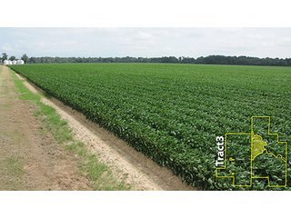 Property photo 30 - ARKANSAS LAND AUCTION, 1,741 ACRES OFFERED IN 4 TRACTS
