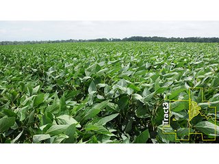 Property photo 31 - ARKANSAS LAND AUCTION, 1,741 ACRES OFFERED IN 4 TRACTS
