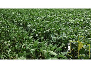 Property photo 32 - ARKANSAS LAND AUCTION, 1,741 ACRES OFFERED IN 4 TRACTS