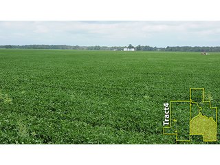 Property photo 43 - ARKANSAS LAND AUCTION, 1,741 ACRES OFFERED IN 4 TRACTS