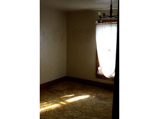 Property photo 5 - 21+/- Acres Real Estate Auction