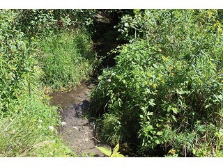 Property photo 3 - 60.5 +/- Acres offered in 3 Tracts Land Auction
