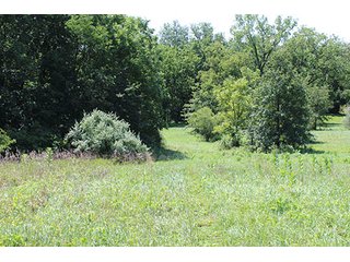 Property photo 8 - 60.5 +/- Acres offered in 3 Tracts Land Auction
