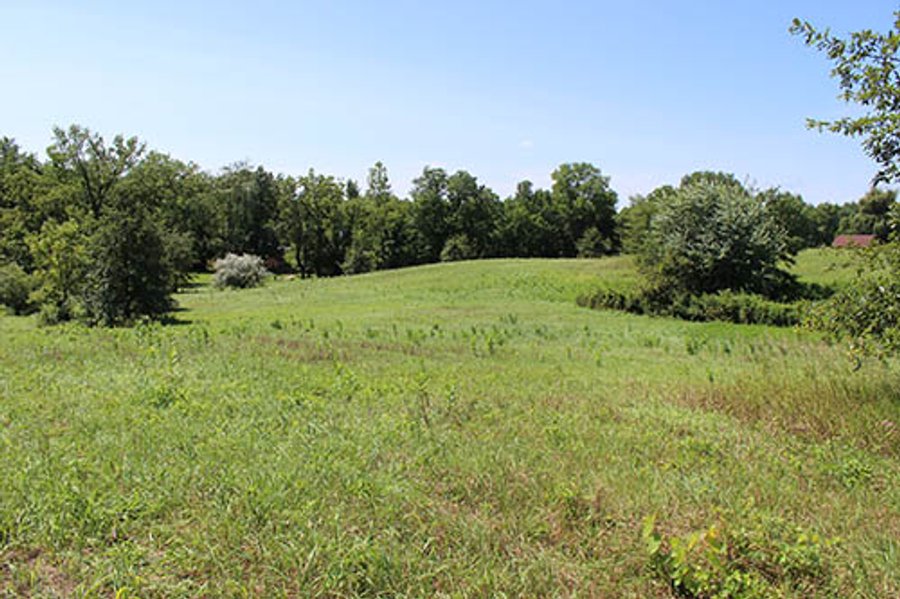 60.5 +/- Acres offered in 3 Tracts Land Auction
