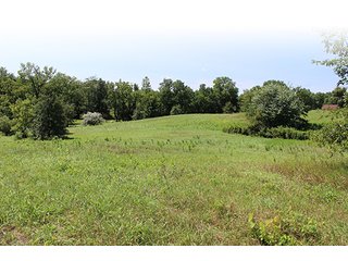 Property photo 7 - 60.5 +/- Acres offered in 3 Tracts Land Auction