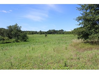 Property photo 6 - 60.5 +/- Acres offered in 3 Tracts Land Auction