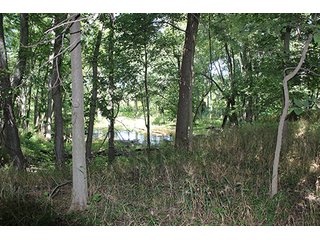 Property photo 2 - 60.5 +/- Acres offered in 3 Tracts Land Auction