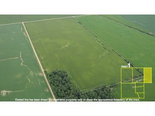 Property photo 4 - 1,739+/- Acres Offered in 24 Tracts, Major Land Auction